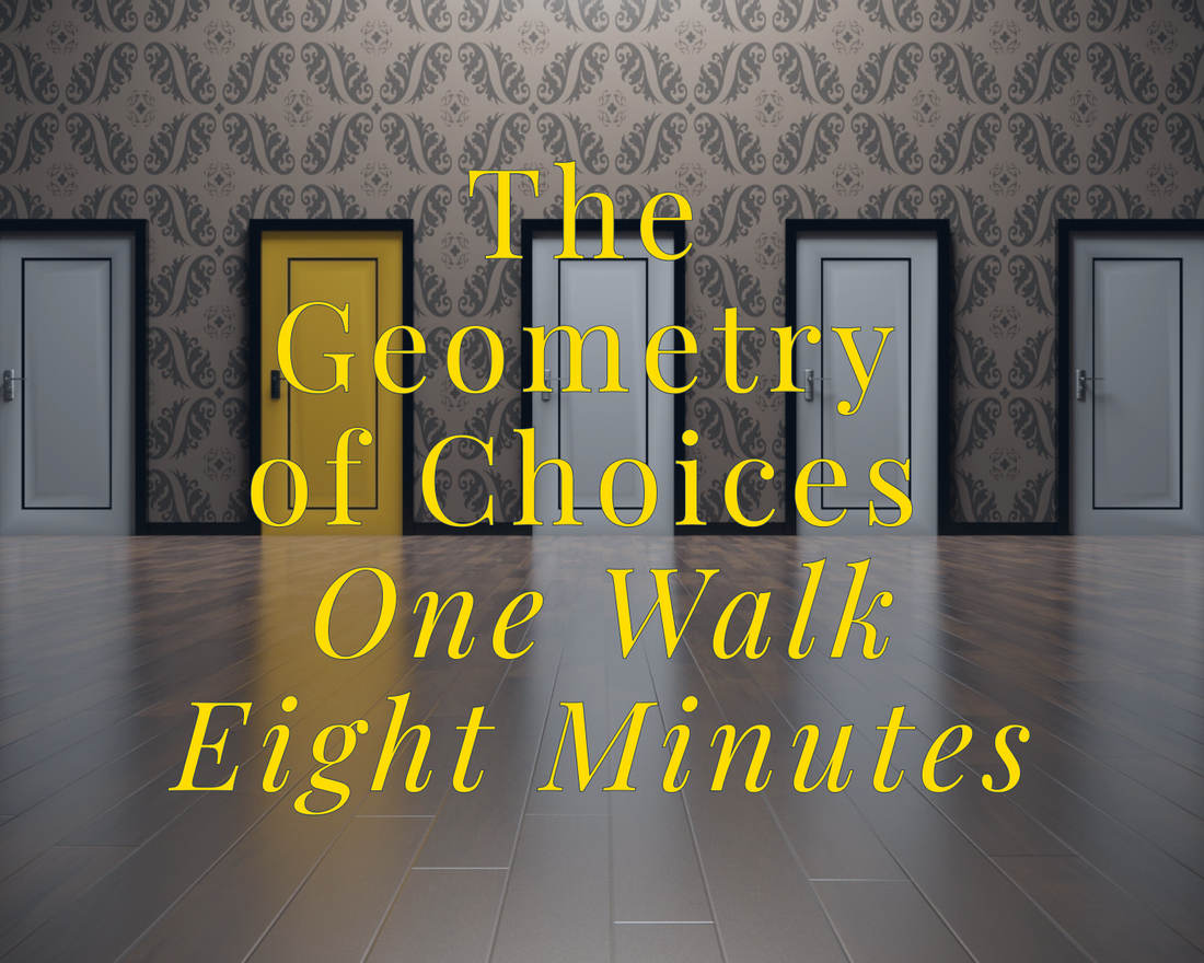 Week 14: The Geometry of Choices: One Walk. Eight Minutes.