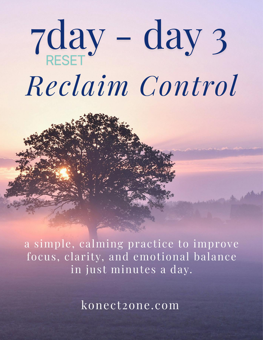 7 day Reset — day 3 Reclaim Control