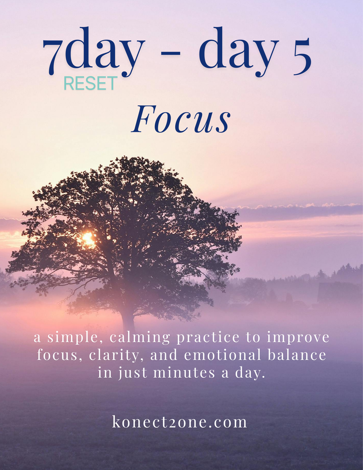 7 day Reset — day 5 Focus